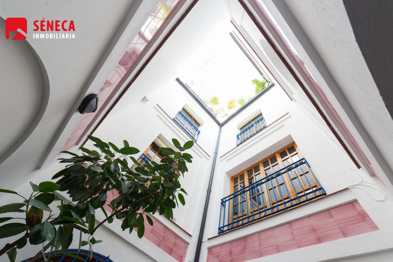 House or chalet for sale in Zona Centro