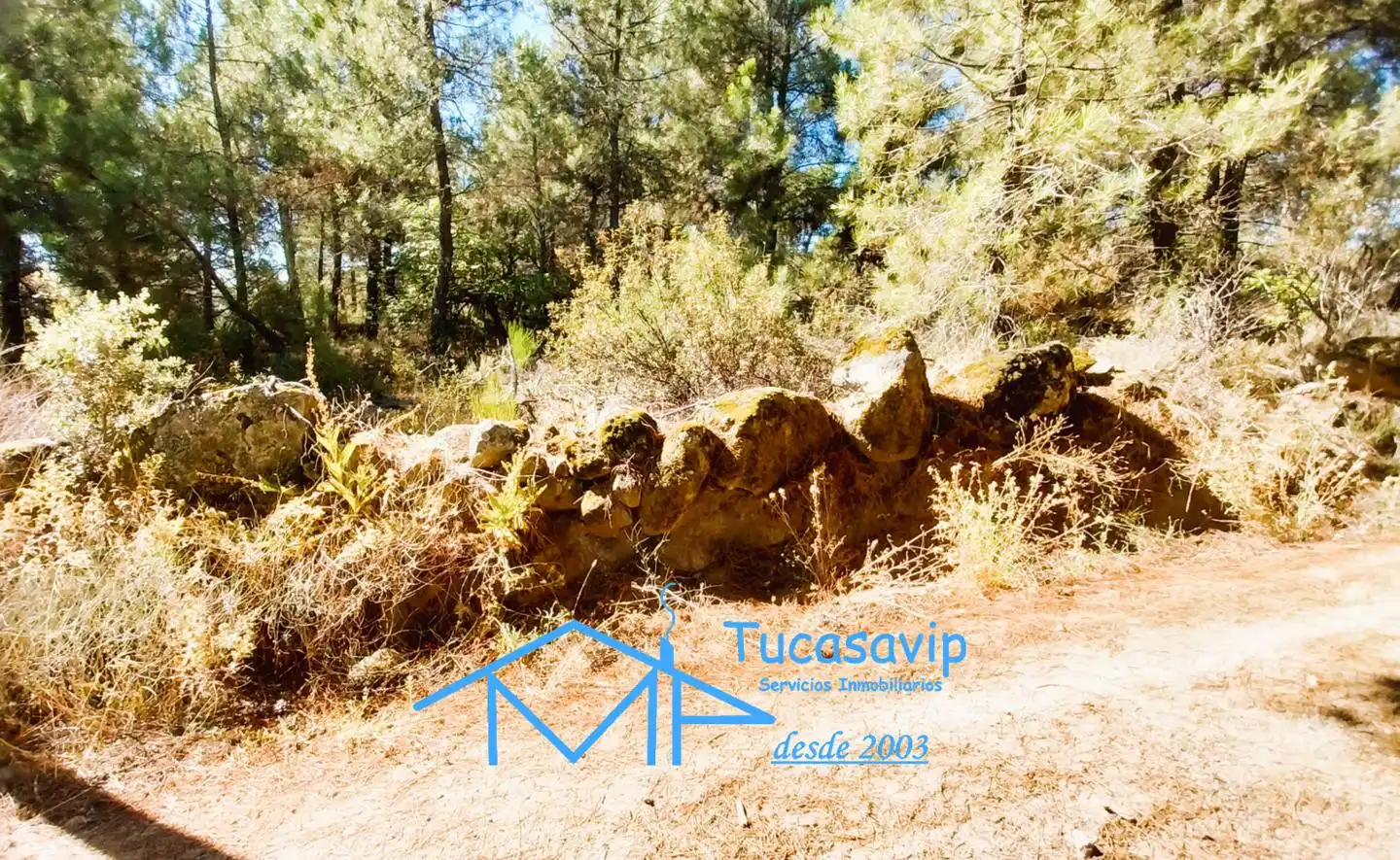 Terreno en venta en Cadalso de los Vidrios