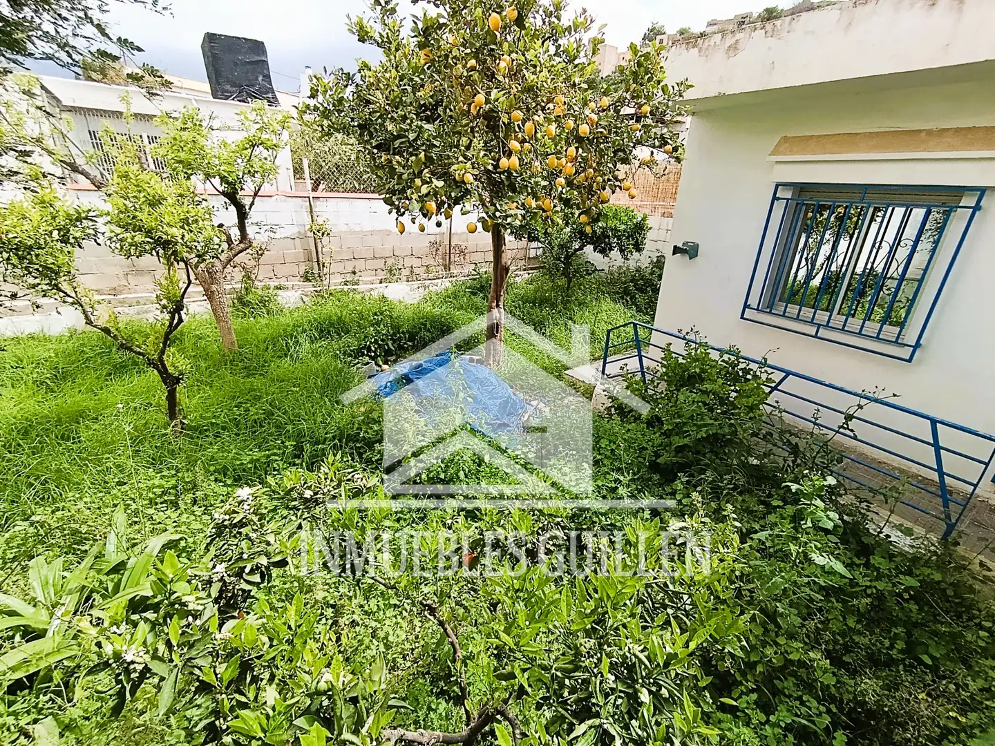 House with garden for sale in Berja, imagen 2