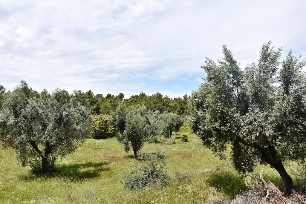 Terreni e lotti in vendita a Arens de Lledó, imagen 12