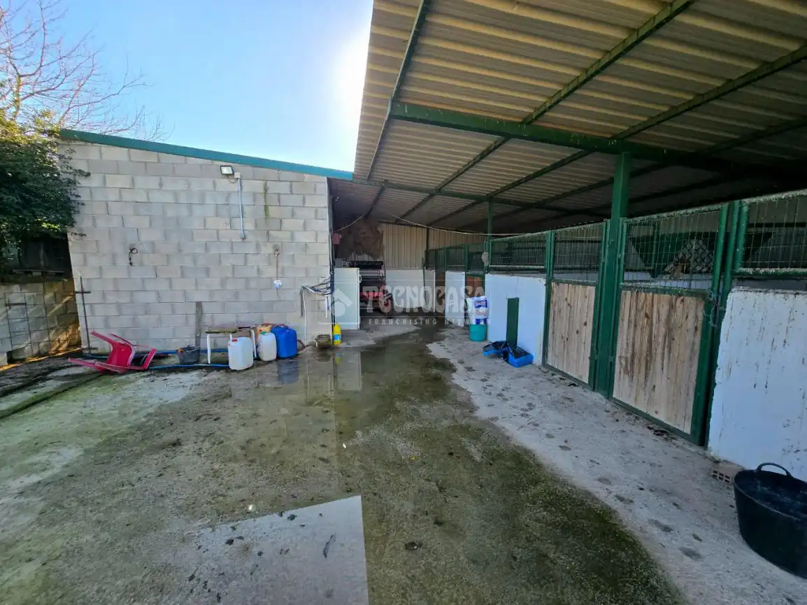 Terreno rustico in vendita a El Coronil, imagen 4