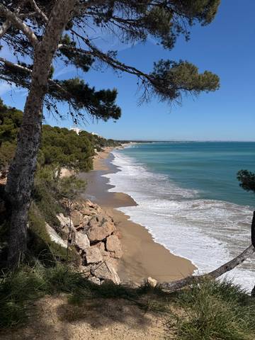 Piso en Venta en Carrer del Peix en Passeig Marítim