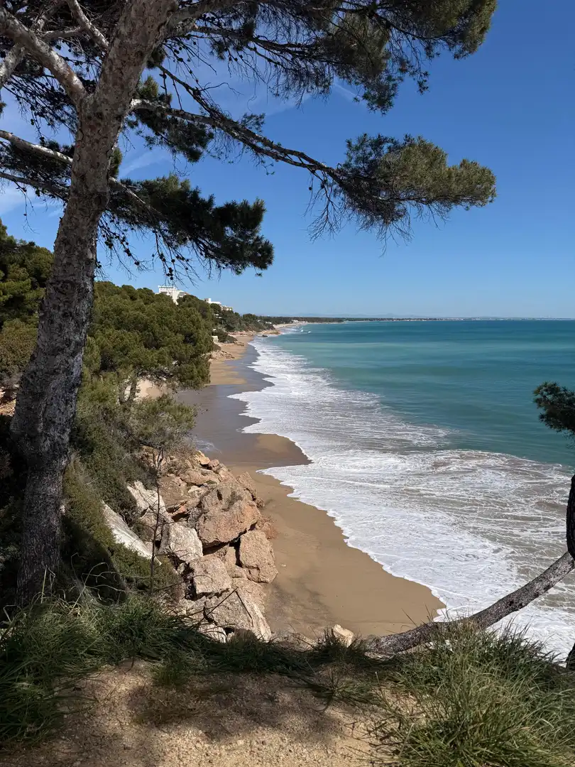 Vista exterior de Pis en venda en Mont-roig del Camp amb Aire condicionat, Calefacció i Balcó
