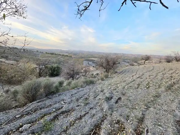Finca rústica en venta en Lorca