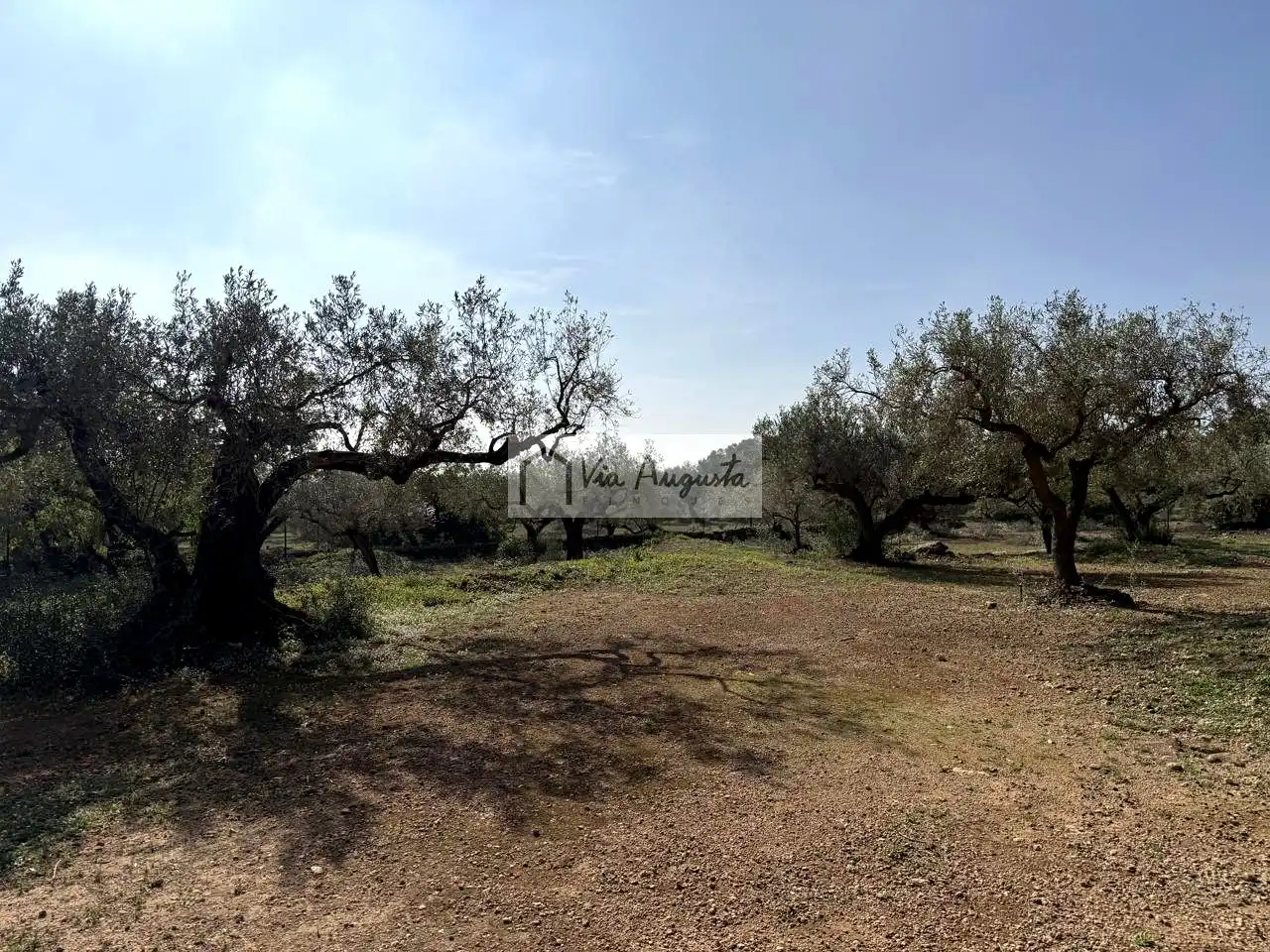 Terreny rústic en venda a Bassa del pi, imagen 28