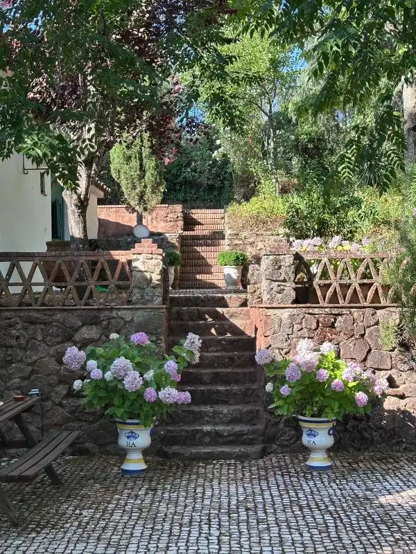 Jardín de Casa o chalet en venta en Aracena con Calefacción, Jardín privado y Terraza