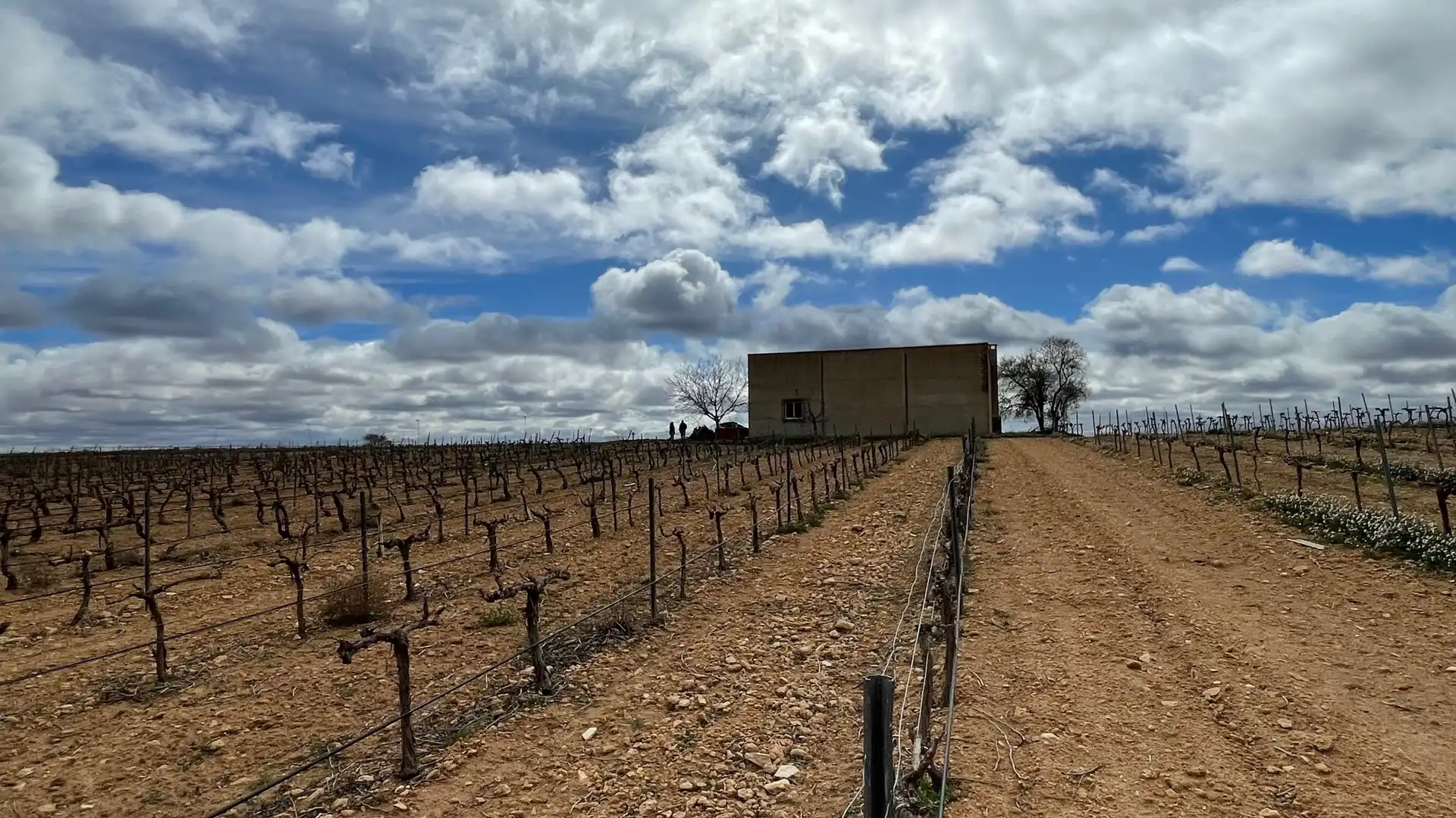 Terreny rústic en venda a Tarazona de la Mancha