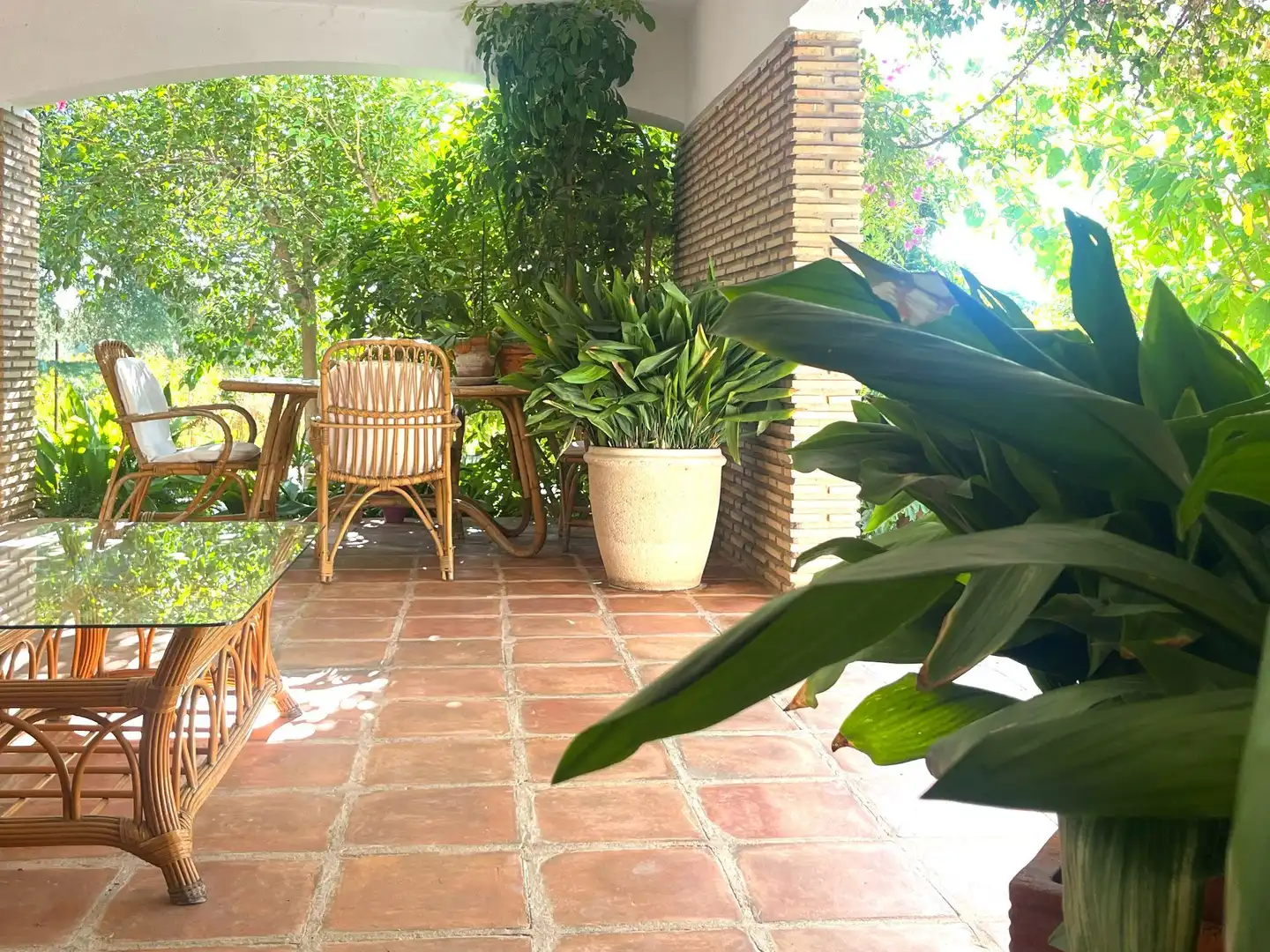 Casa amb jardí en venda a Santa Ana, imagen 14