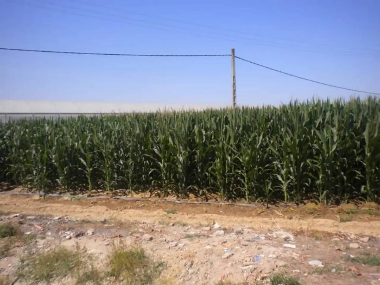 Terreny residencial en venda a Camino DE LA JUNTA, imagen 2