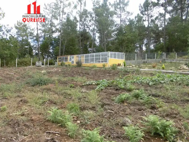 Casa rústica en venda a Bande, imagen 5