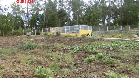 FINCA RUSTICA EN LA ZONA DE LA PEROXA PRÓXIMA A LA CIUDAD, imagen 5