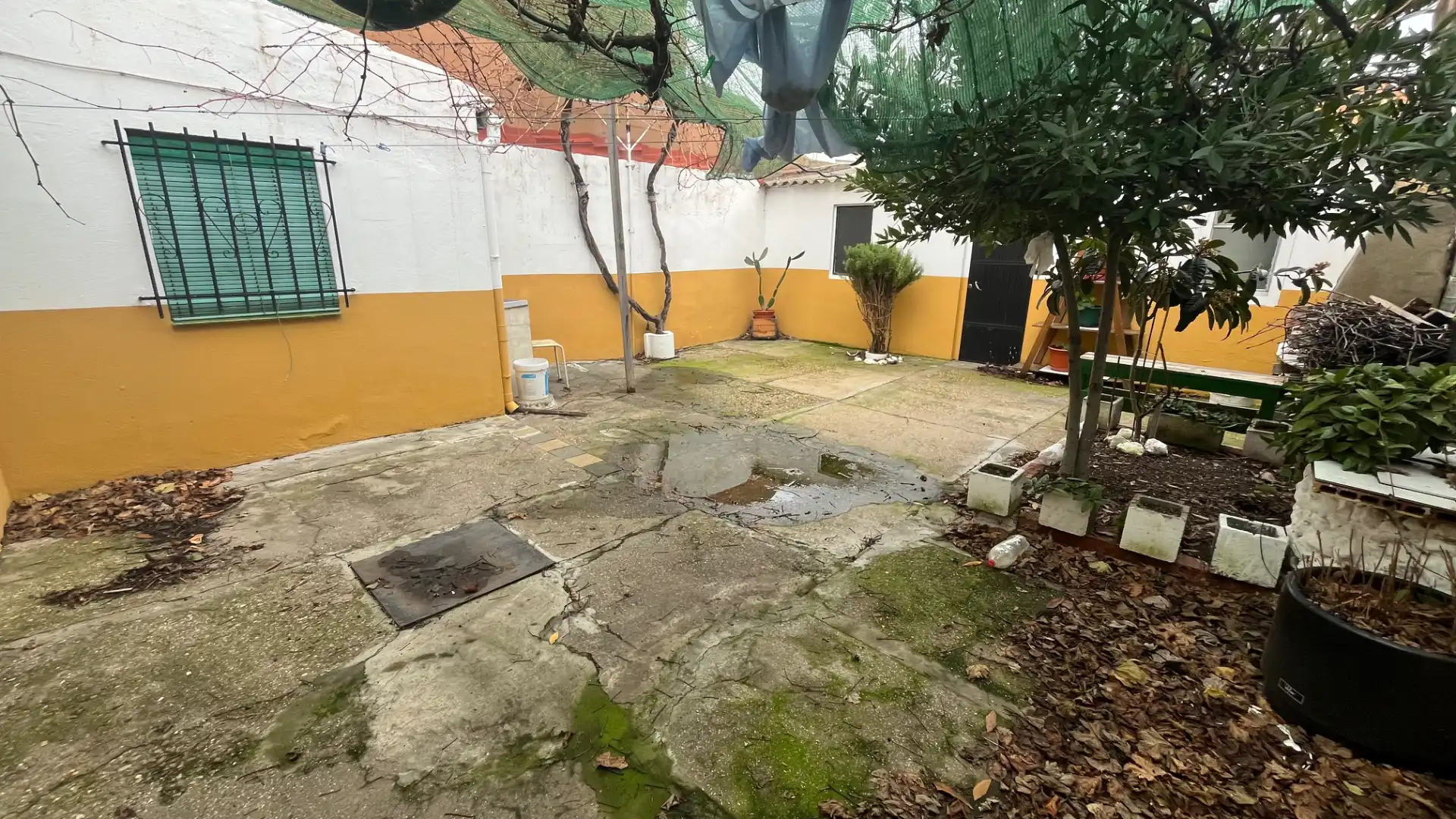 Jardí de Casa o xalet en venda en Valladolid