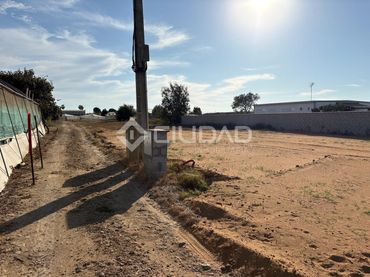 Terreno rústico en venta en La Jara