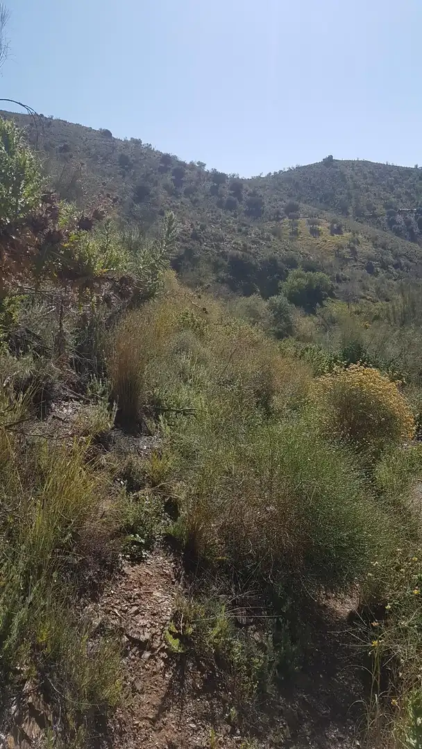 Terreni e lotti in vendita a Los Rueda, imagen 4