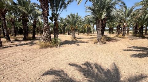 Foto 4 de Terreno en venta en La Algoda - Matola - Llano de San José, Alicante