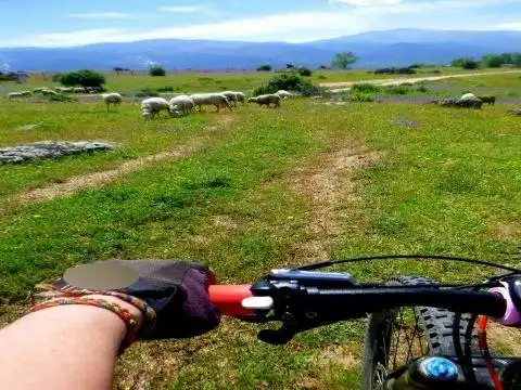 Vista exterior de Garatge en venda en Trescasas