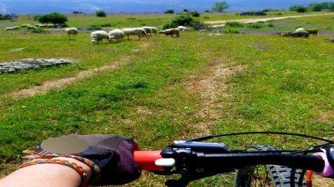 Foto 3 de Garaje en venta en Trescasas, Segovia