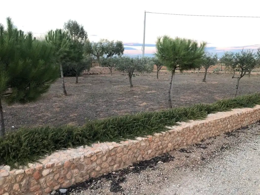 Casa con giardino in affitto a Pedanías Oeste, imagen 14