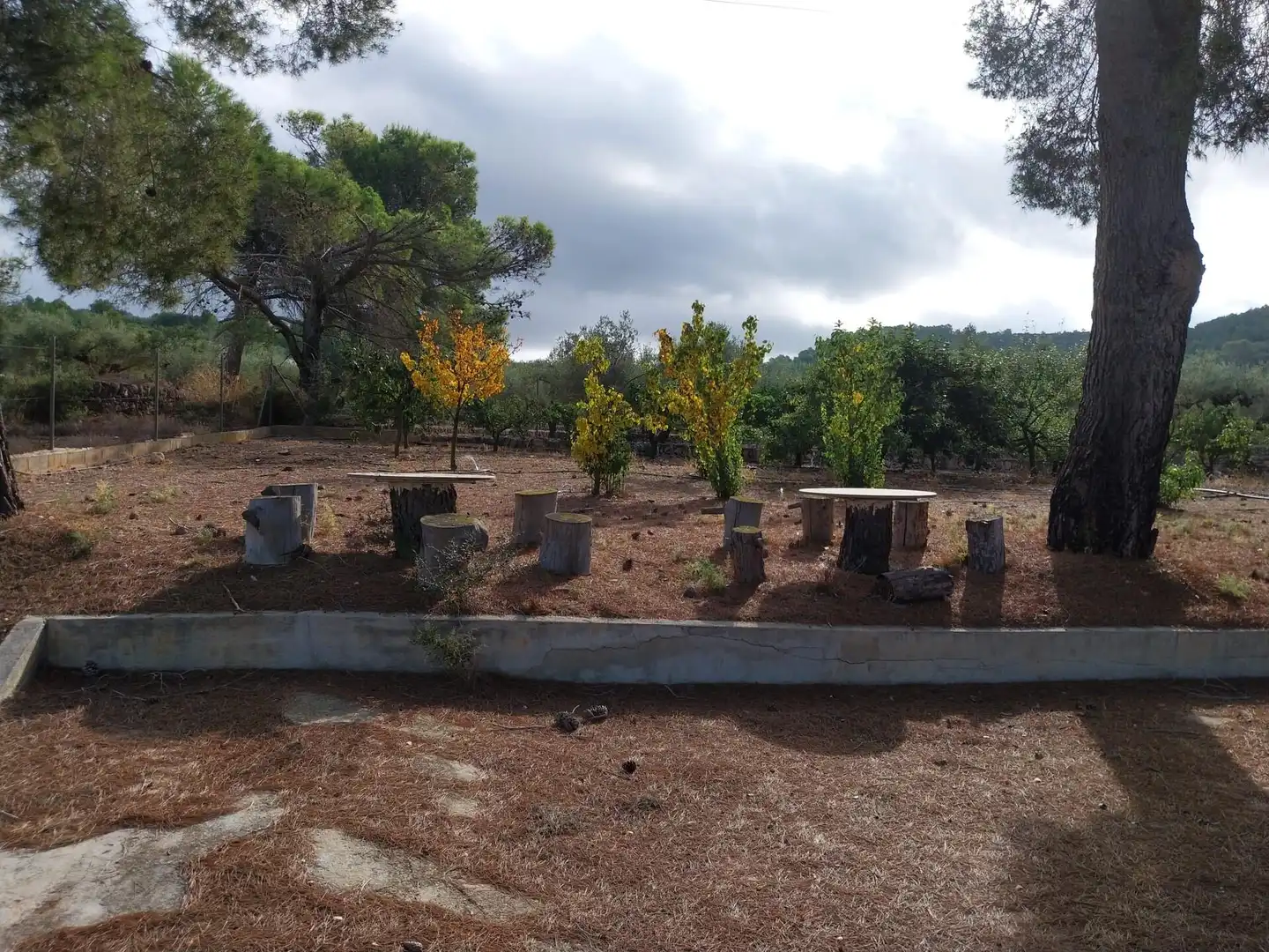 Finca rústica en venda a Freginals