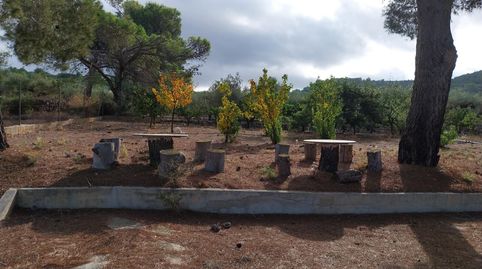 Foto 4 de Finca rústica en venda a Freginals, Tarragona