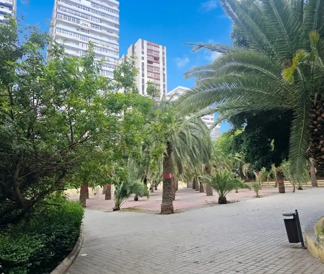 Vista exterior de Pis en venda en Las Palmas de Gran Canaria amb Balcó