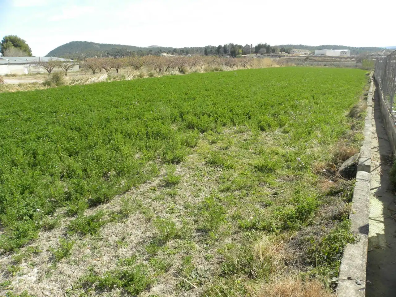 Residential land for sale in Caravaca de la Cruz, imagen 5