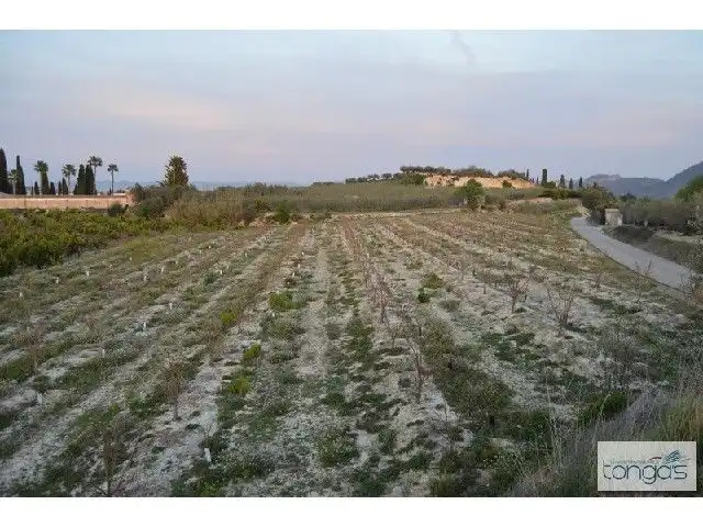 Terreny rústic en venda a Llanera de Ranes, imagen 3