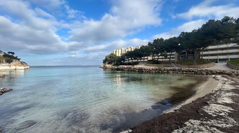 Photo 4 of Flat for sale in Cala Vinyes, Calvià