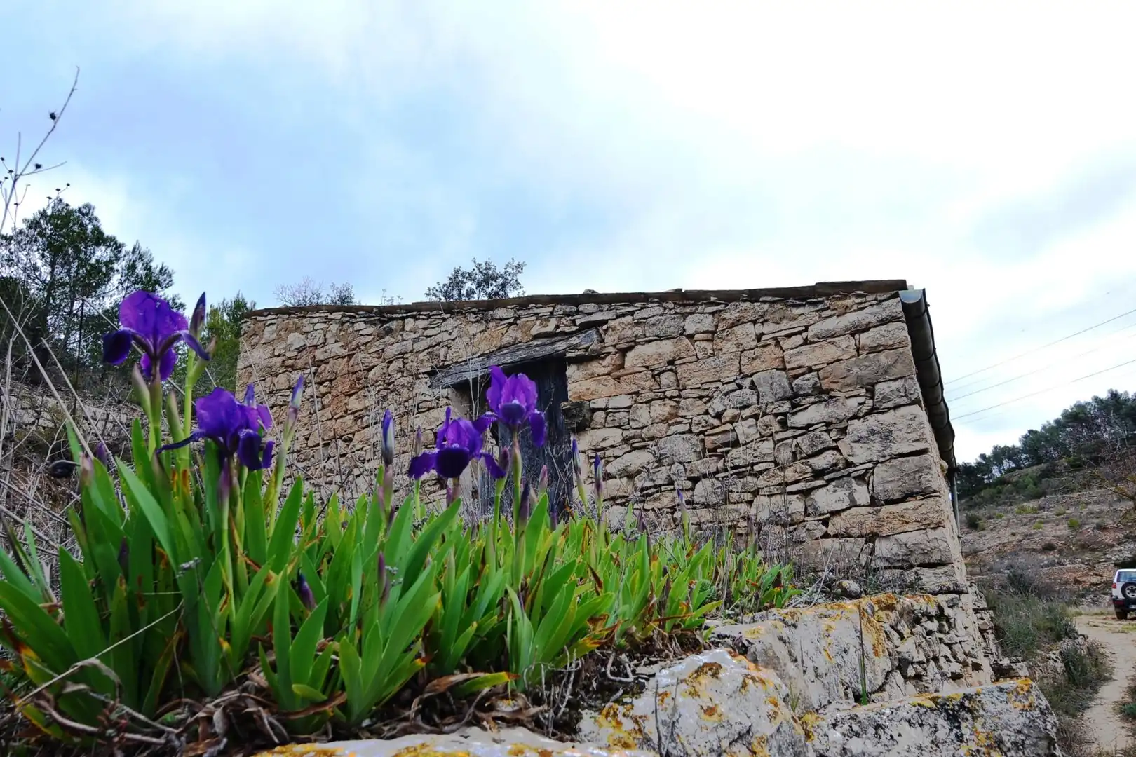 Vista exterior de Terreno en venta en Vilalba dels Arcs