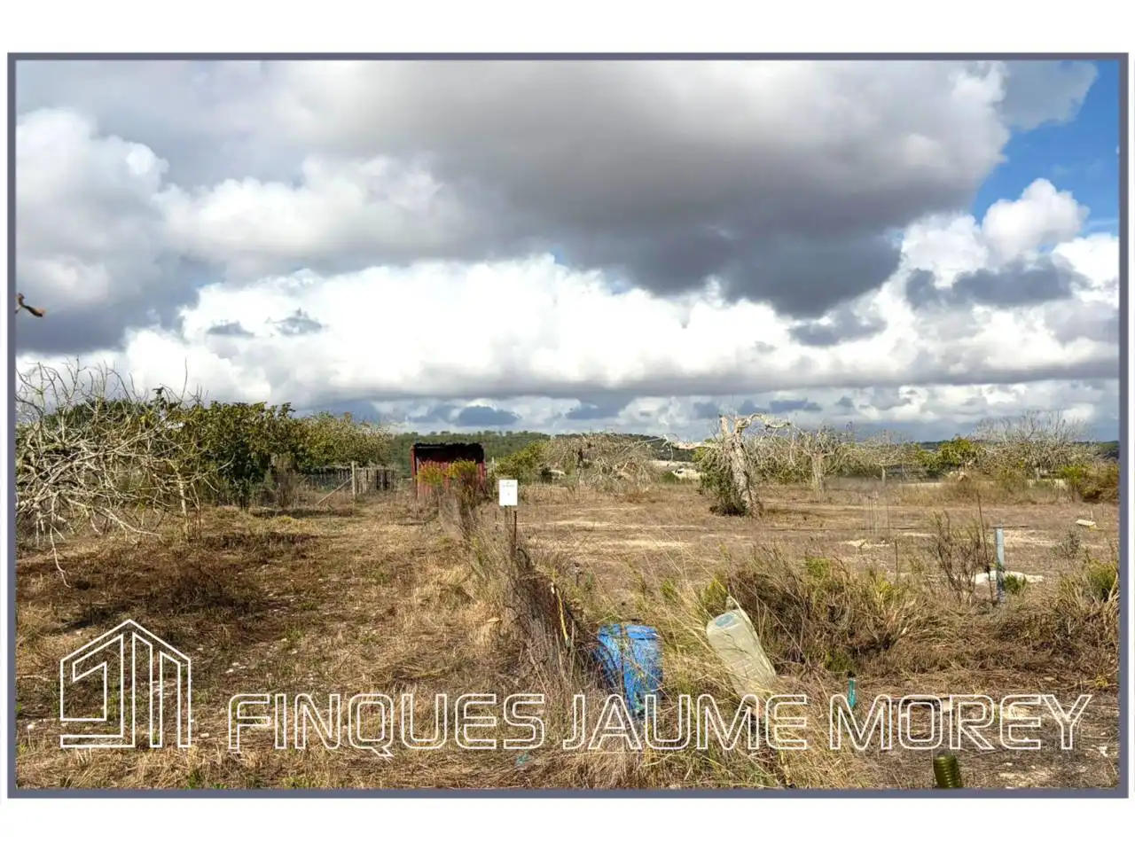 Finca rústica en venta en Maria de la Salut con Jardín privado