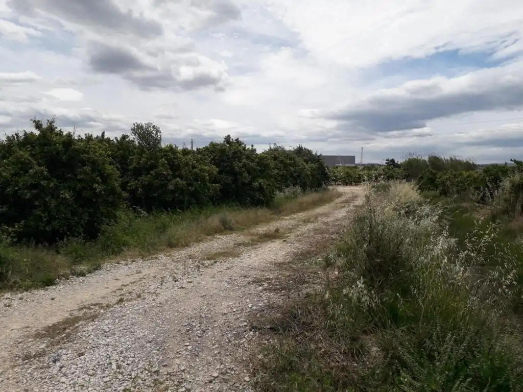 Terrain rustique à vendre à REALENGO, imagen 5