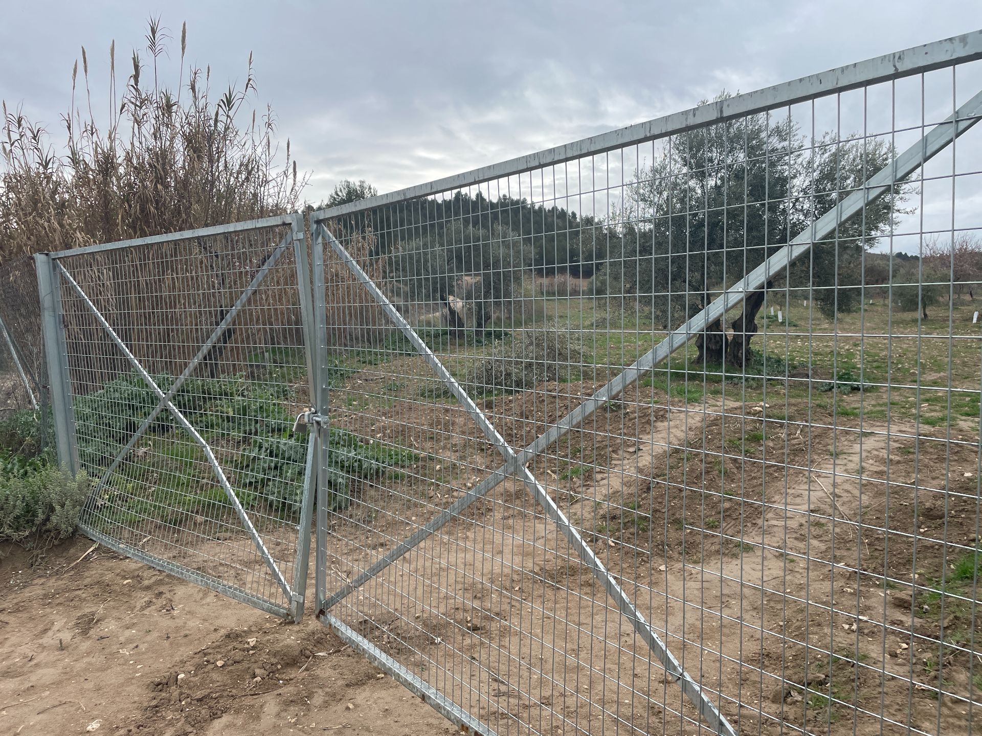 Land for sale in Ocaña