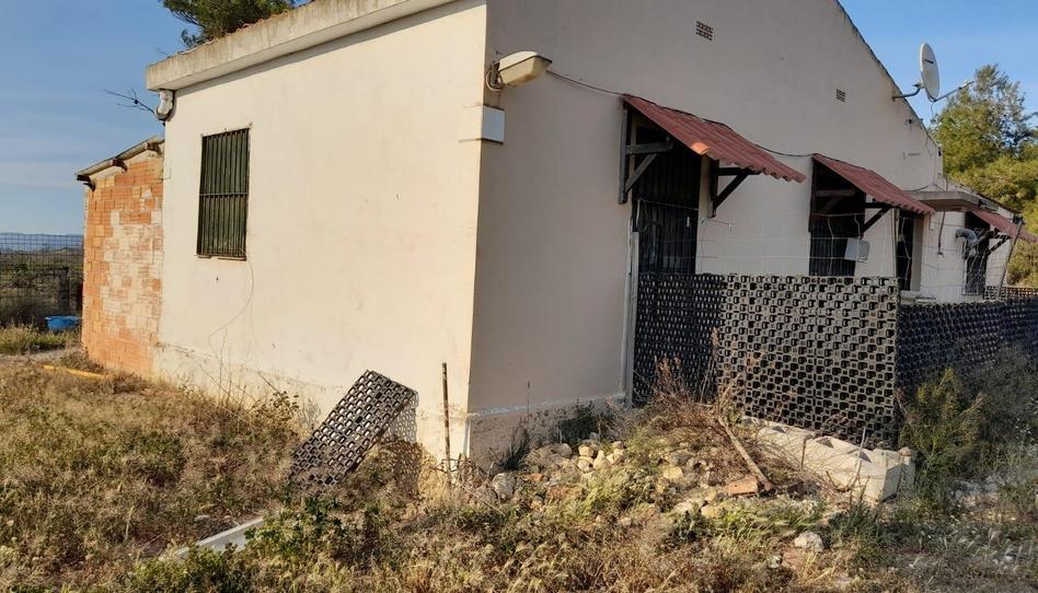 Foto 1 de Finca rústica en venda a Flix, Tarragona