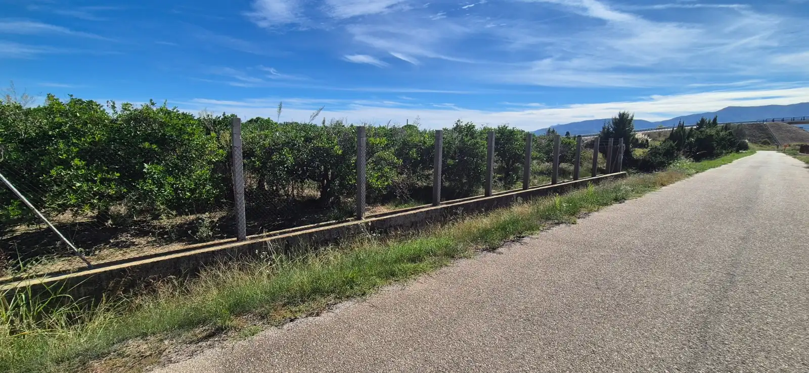 Terrain rustique à vendre à Segador de Samuel, imagen 10