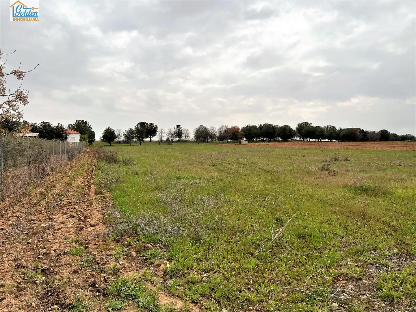 Terreni e lotti in vendita a Camino PARCELA 39-POLÍGONO502