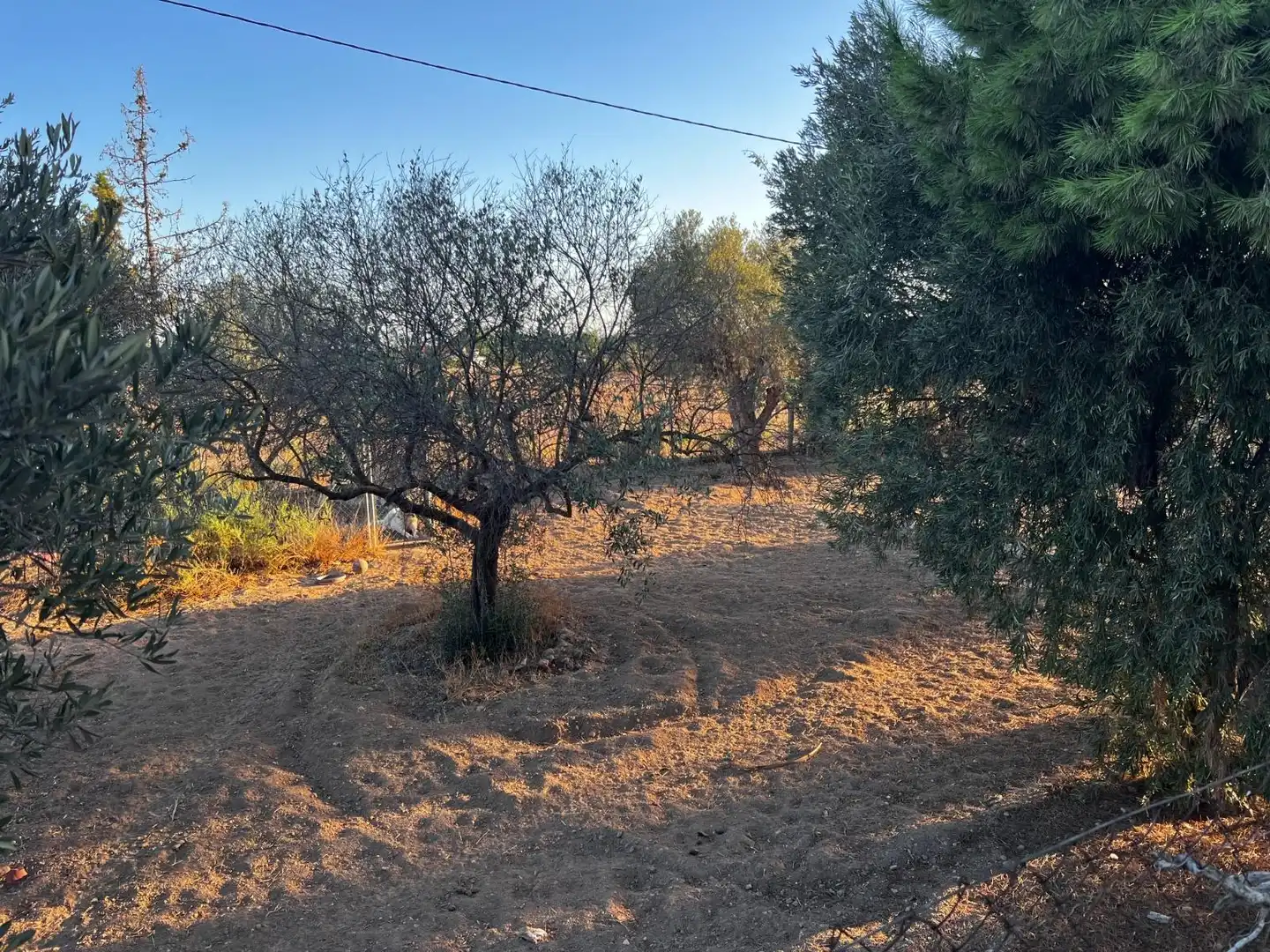 Casa o xalet en venda en Elche / Elx amb Jardí privat, Terrassa i Traster