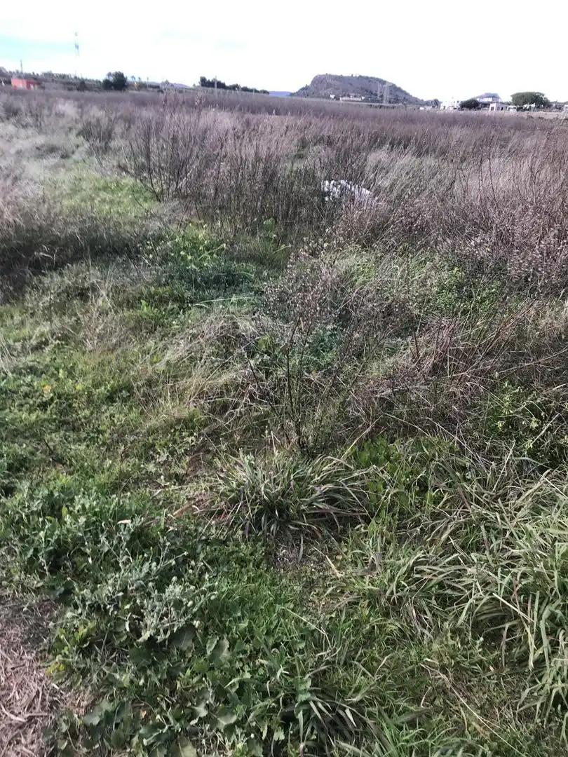 Lands and plots for sale in Corralet - Bonanza - Tres Rutas, imagen 10