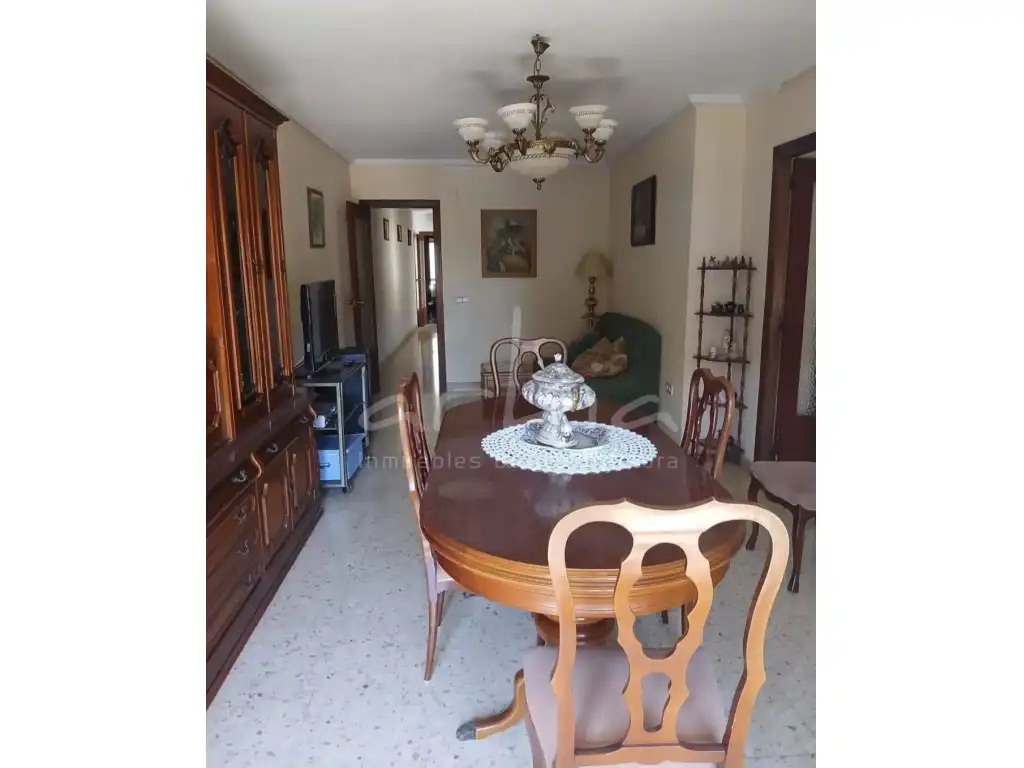 Comedor de Piso en venta en Alaquàs