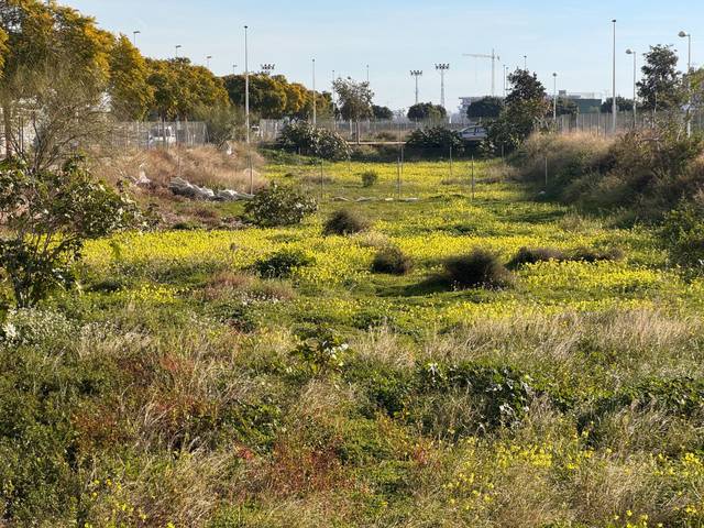 Terreno residencial en Venta en MESTRE ANTONIO MICHAVILA, 5 en Zona Estación