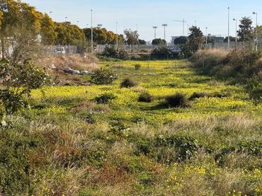 Lands and plots for sale in MESTRE ANTONIO MICHAVILA 5