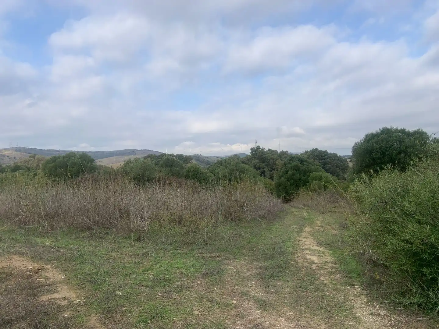 Terreno en venta en Casares