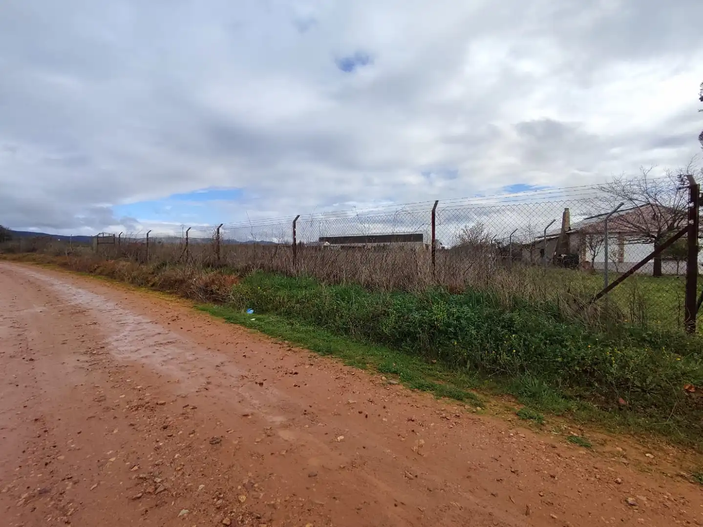 Terreno rustico in vendita a Villarrubia de los Ojos, imagen 11