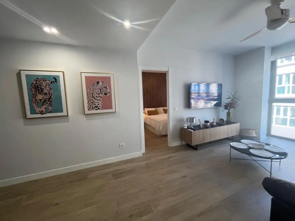 Sala d'estar de Apartament de lloguer en Madrid amb Aire condicionat, Calefacció i Moblat