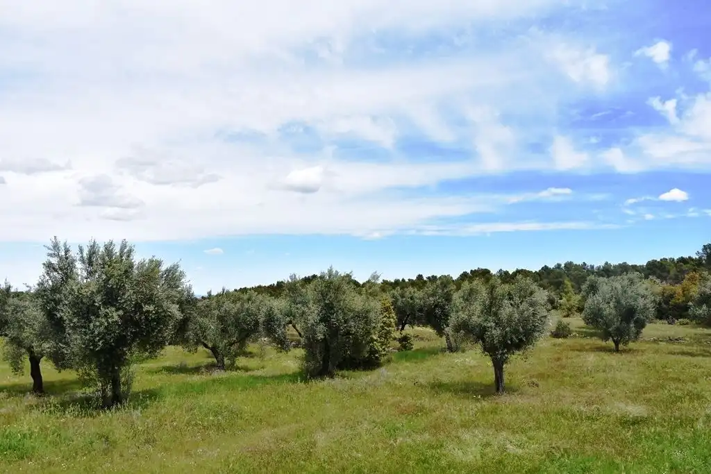 Terreni e lotti in vendita a Arens de Lledó, imagen 15