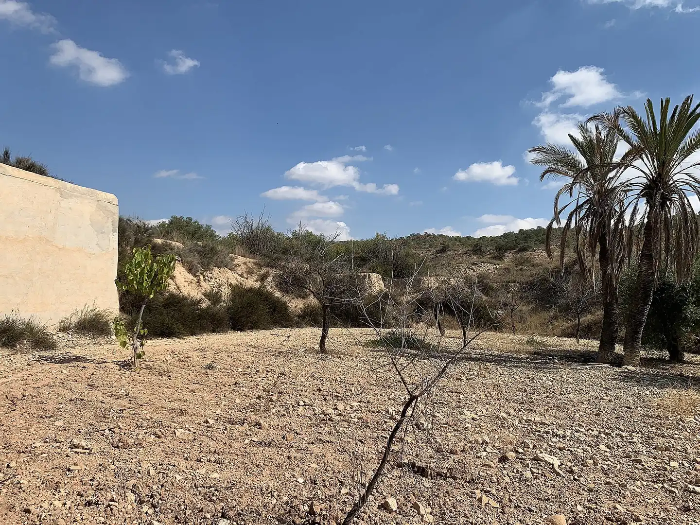 Country homes for sale in Abanilla