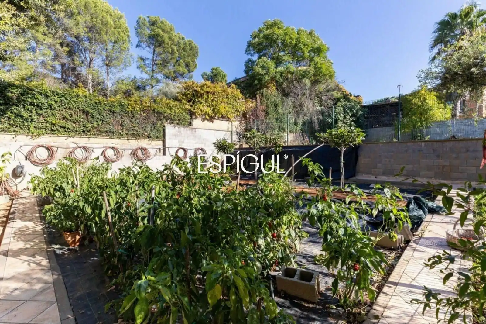 Jardín de Casa o chalet de alquiler en Sant Cugat del Vallès con Aire acondicionado, Calefacción y Jardín privado