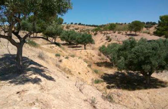 Residencial en venda a LAS ZORRERAS, PARTIDO DE JAVALI NUEVO, -1, Javalí Nuevo