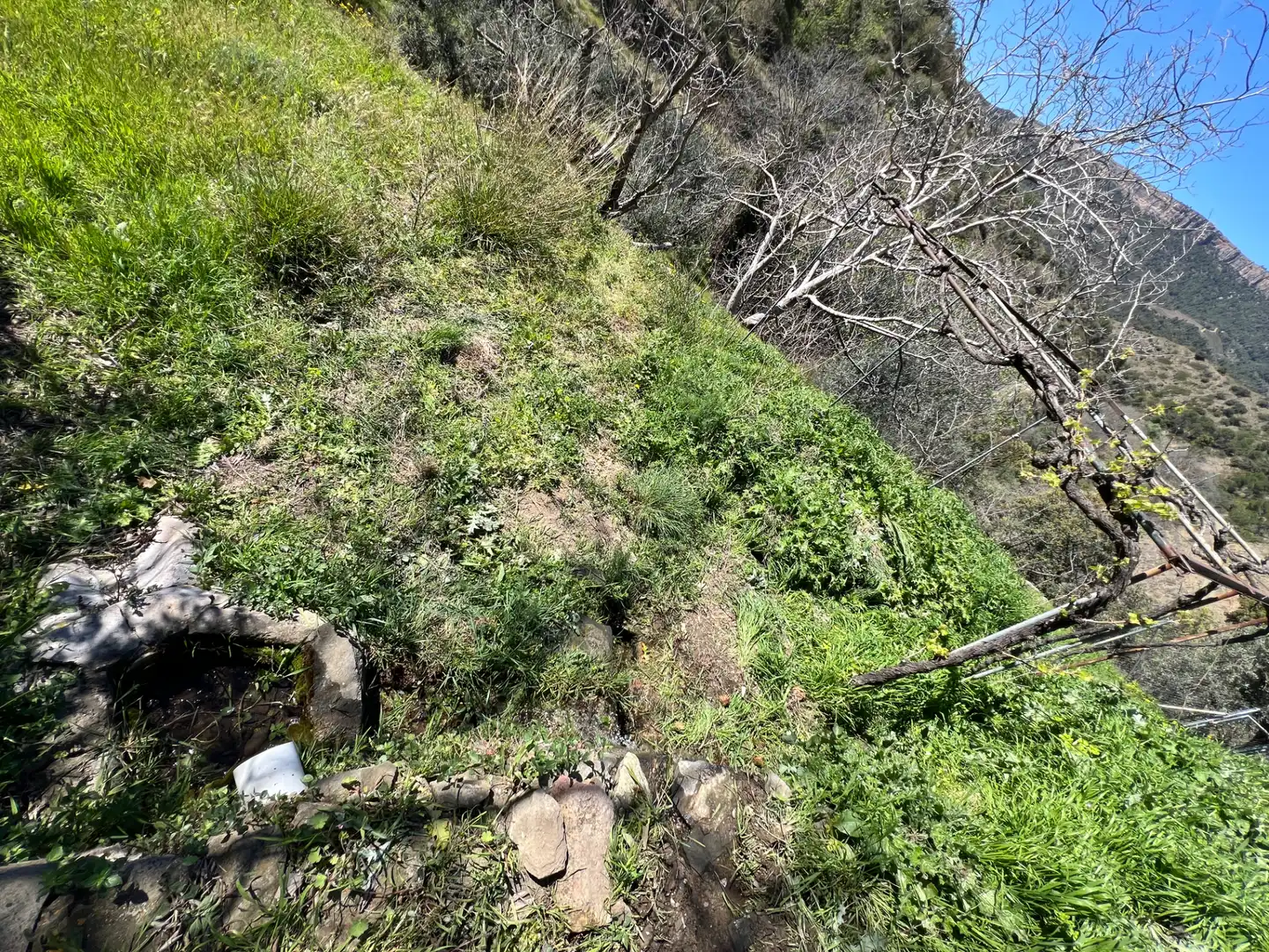 Rural land for sale in Gratallops, imagen 5