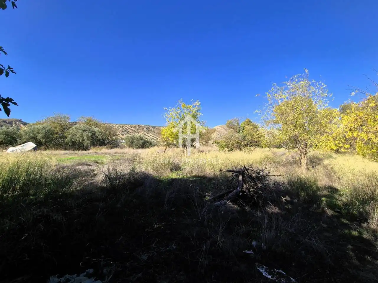 Land for sale in Loja