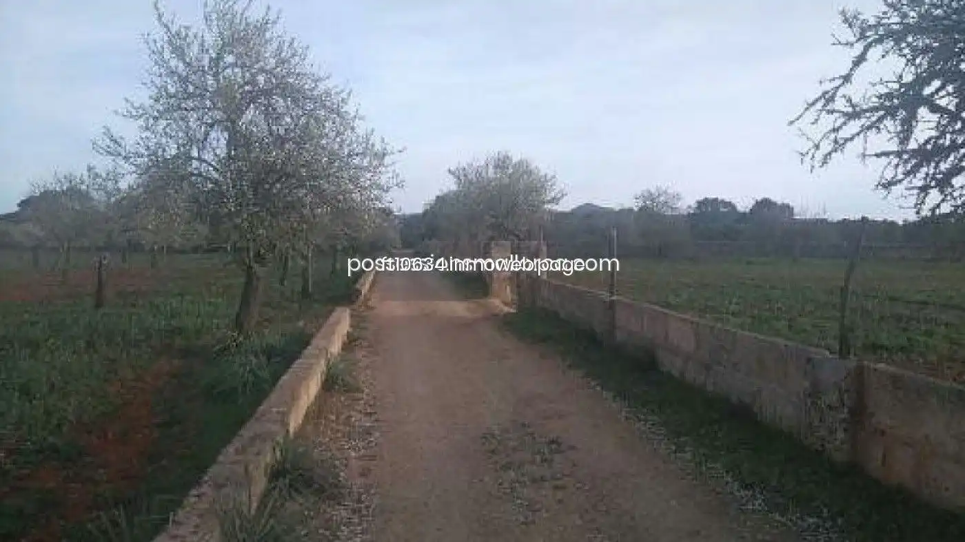 Terreno rustico in vendita a Algaida, imagen 29